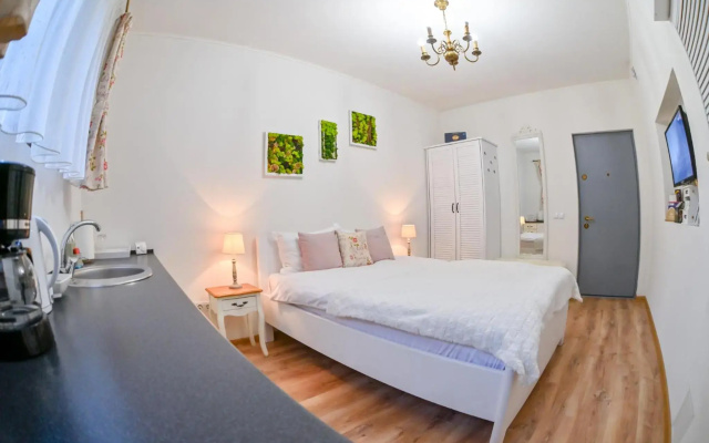 Transilvania Apartment