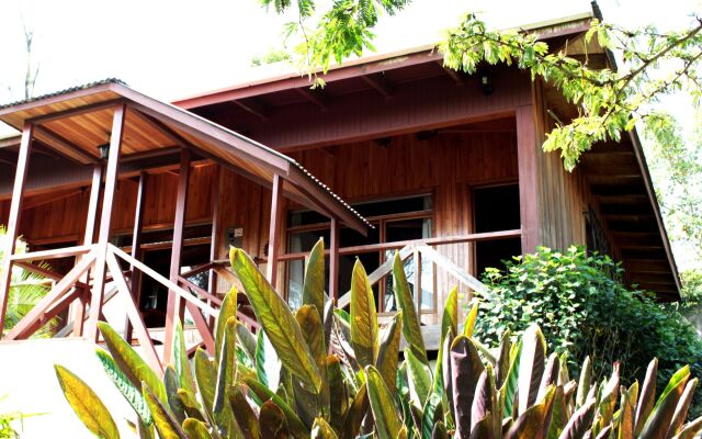 Hotel Holístico Monteverde