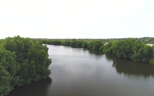 The Cove Pasikuda