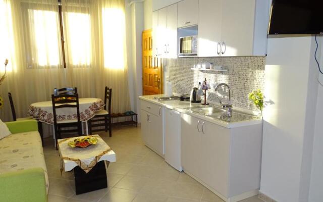 Central Apartments Shoshi