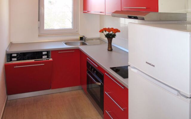 Andjelka (TGR147) 8959