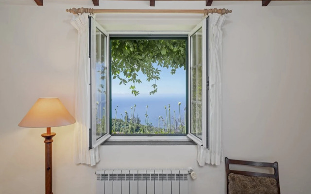 Quinta Devónia II - Tília by An Island Apart