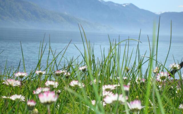 Hotel Seegasthof Oberndorfer Attersee