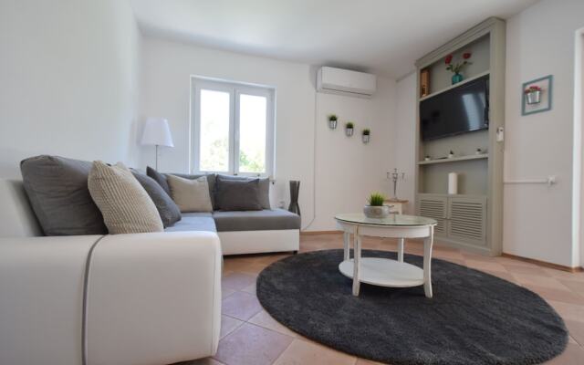 Apartment Srsic