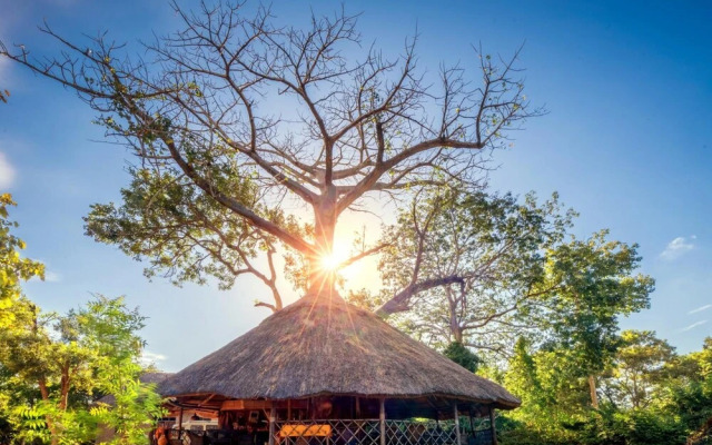 Selous Butembo Tented Lodge Lotus