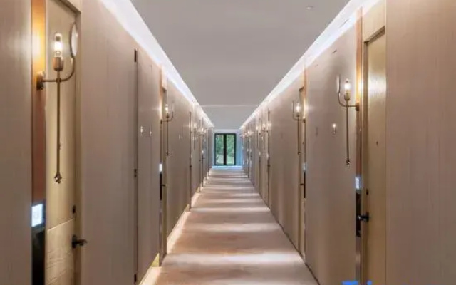 Urban Oasis Apartment