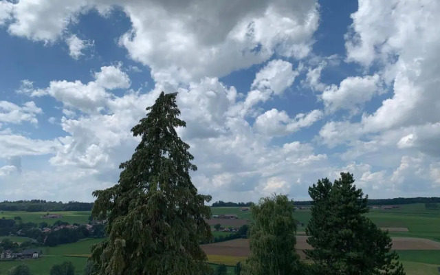 Hôtel Lion d'Or Romont