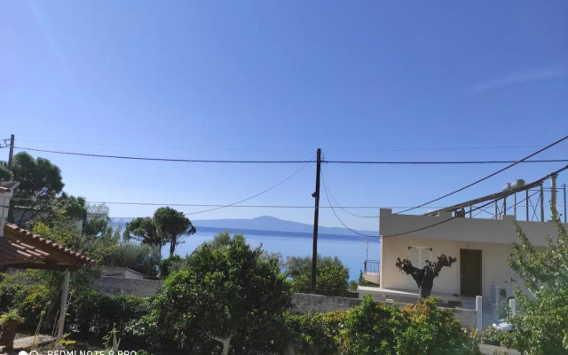 Garden Sea Apartment