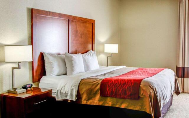 Comfort Inn Bessemer Birmingham South