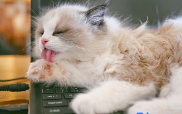 Dali Nanfeng Yiyu Seaview Hotel Santorini