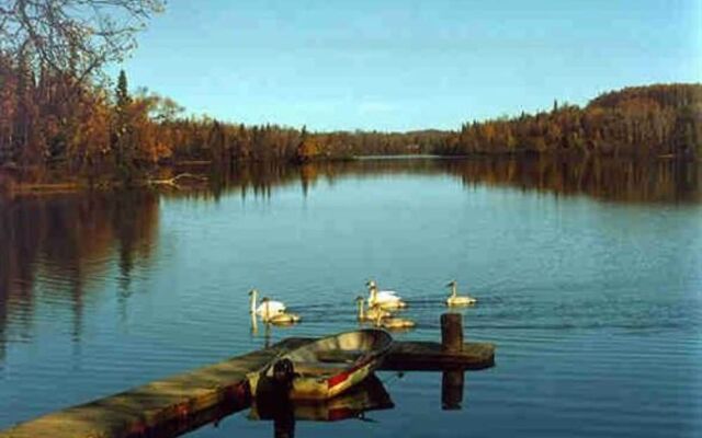 Daniels Lake Lodge B&B