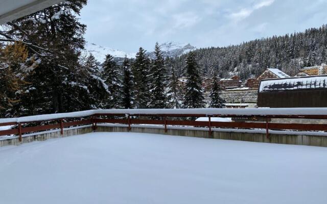 Sapin rouge B37