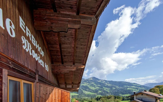 Wooden Apartment With Mountain View