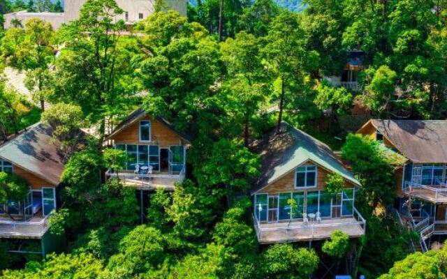 Yinxin'gu Treehouse Hotel