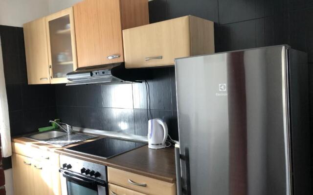 Apartment Zoran Pošesi