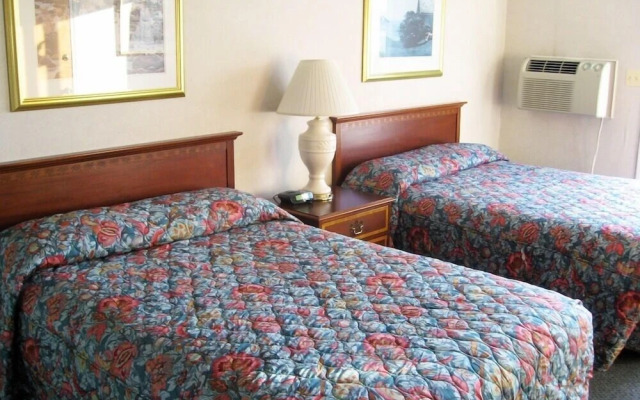 Sea Whale Motel