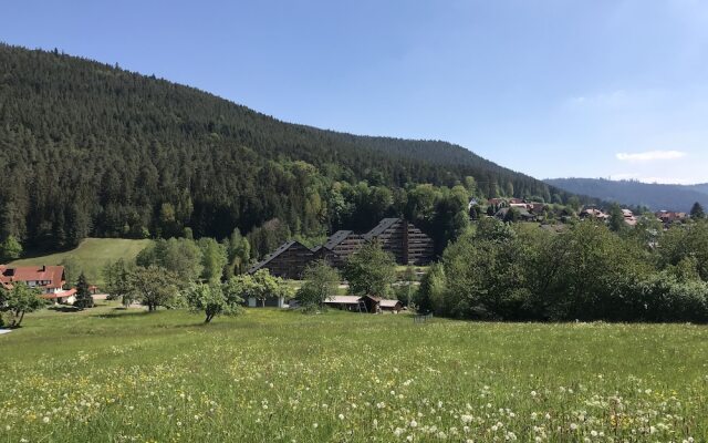 Schwarzwaldgrund