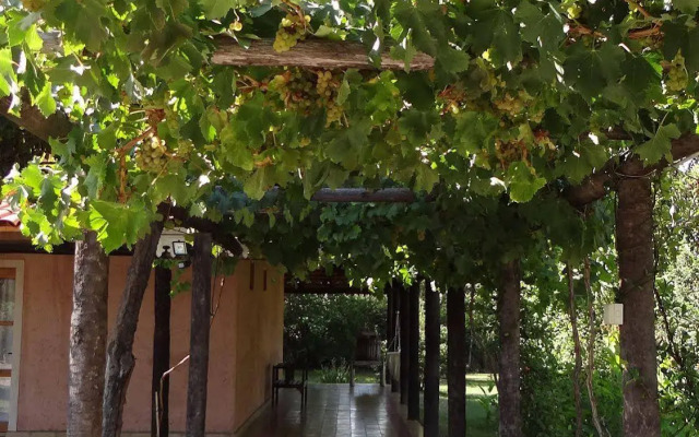 Posada Cavieres Wine Farm