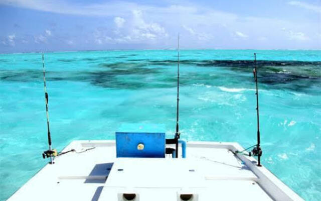 Sizam Reef View