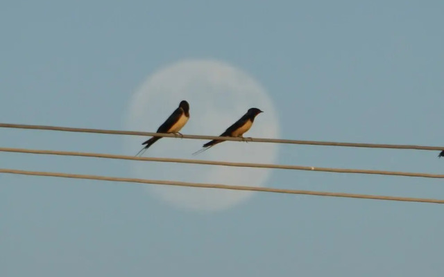 Agriturismo Le Stringaie