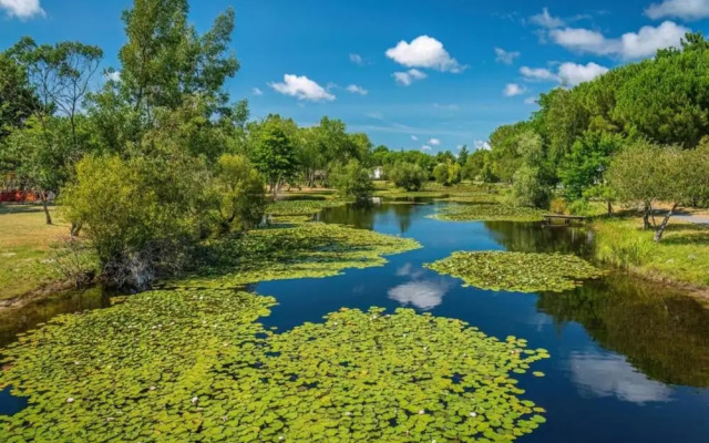 Lakeside Stay w/ Terrace