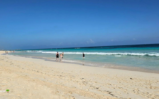 Luxury House Bungalow and apartments La Botánica Tropical