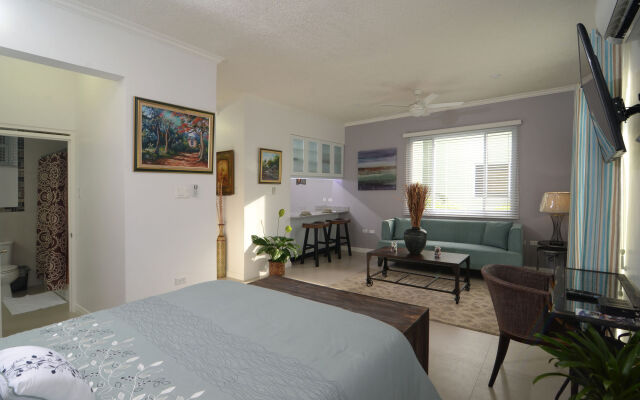 Kingsway New Kingston Guest Apartment II