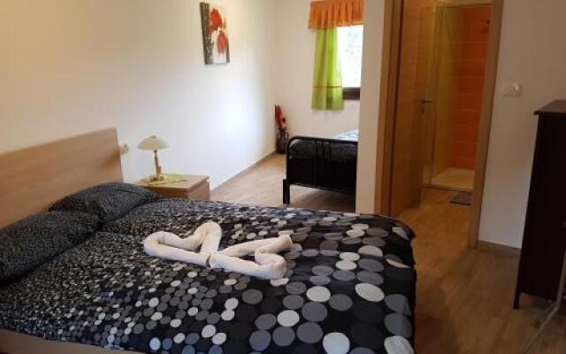 Rooms Tolminska korita