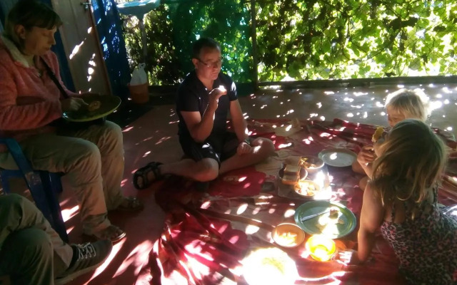 Jungleparadiso hostel