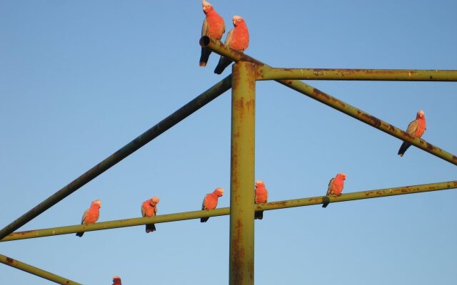 Ningaloo Bed and Breakfast