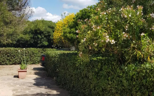 Villa Cino
