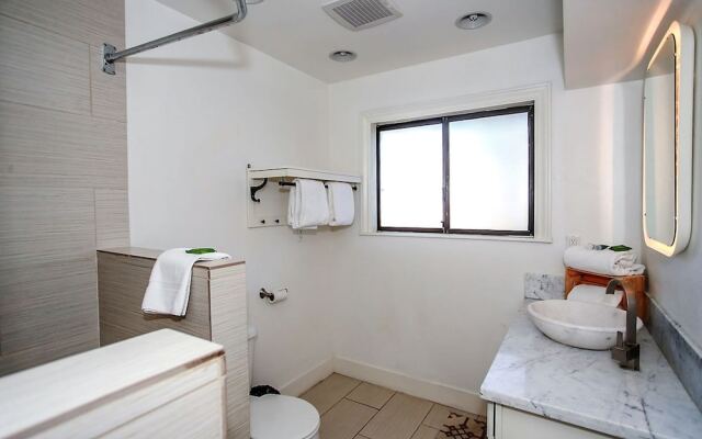 Bluebird Bear 1549 by RedAwning