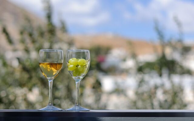Afroditi Venus Beach Hotel & Spa