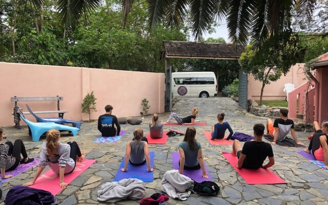 Dolphins Beach House - Hostel