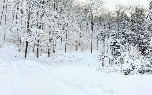 Winter Lore in Mendon