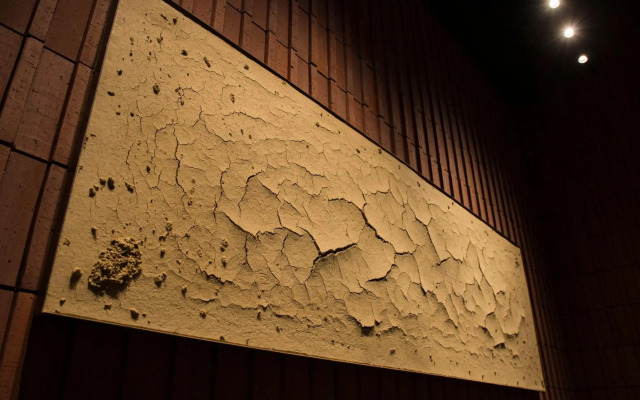 The Knot Sapporo
