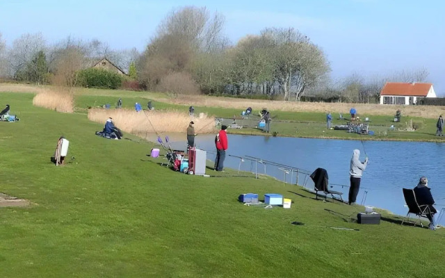 Pet-friendly Coastal Getaway