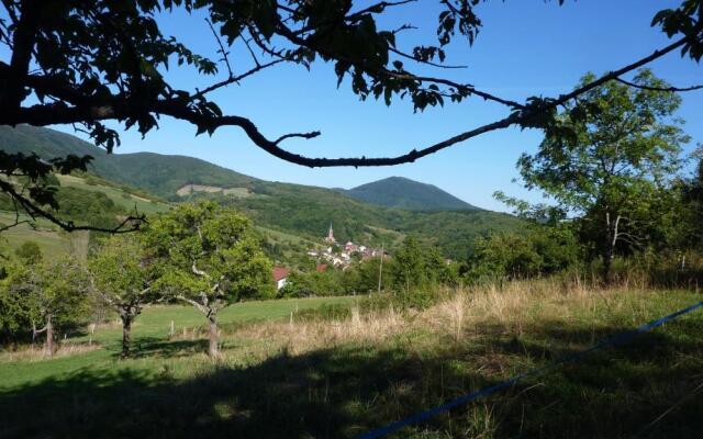 Gîte Schlitteur Et Sapiniere