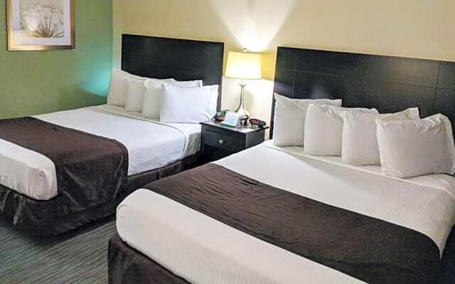 The Hotel Francis