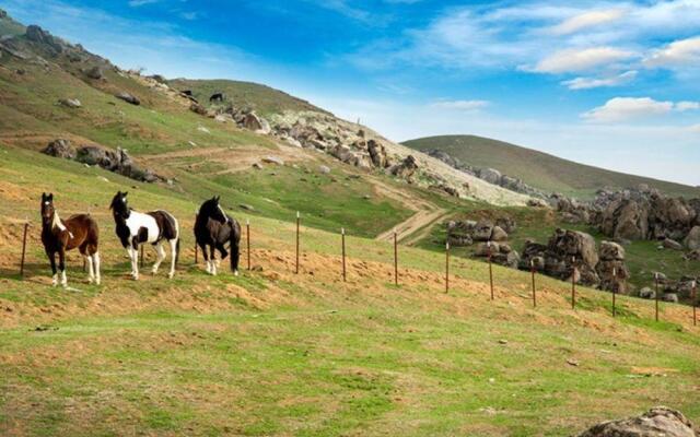 Wicky Up Ranch Bed and Breakfast