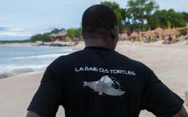 La Baie des Tortues Luth