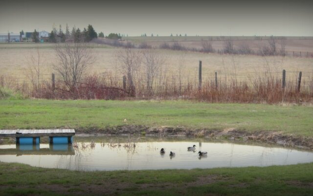 Marcy's Bed & Breakfast
