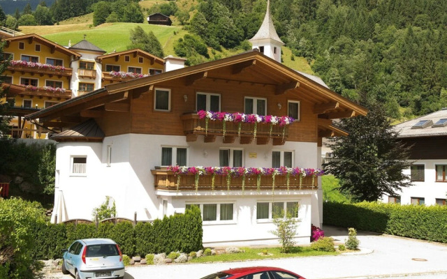 Top 2 Viehhofen in Viehhofen