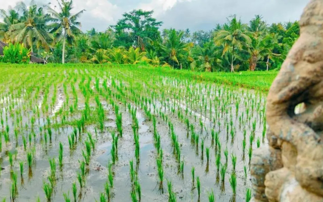 Srijaya Ubud