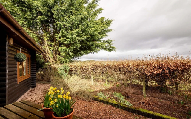 The Weebothy By Cupar