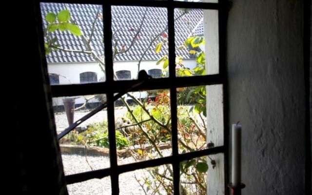 Stutteri Skandi Hest