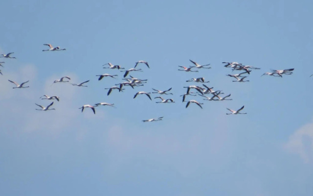 Aveiro House - Alojamento Local