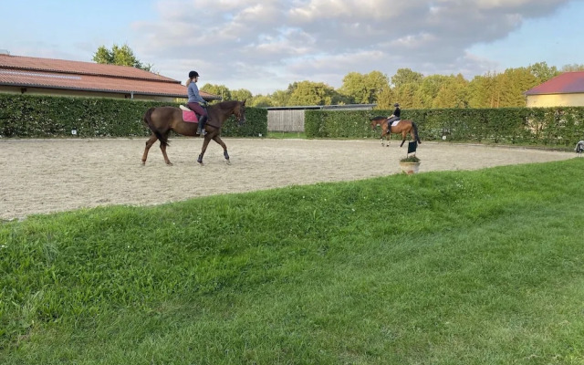 Apartment in Eschede, Luneburg