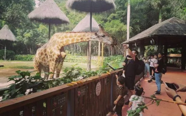 Vienna International Hotel (Guangzhou South Station Qifu New Estate Branch)