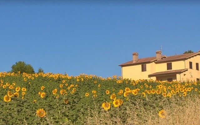 La strada bianca